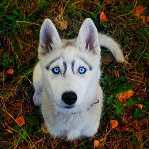 Meet your Posher, Arif